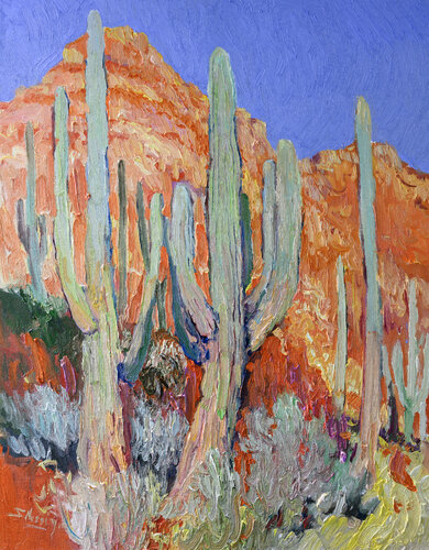Saguaro Cactuses in the Desert Suren Nersisyan