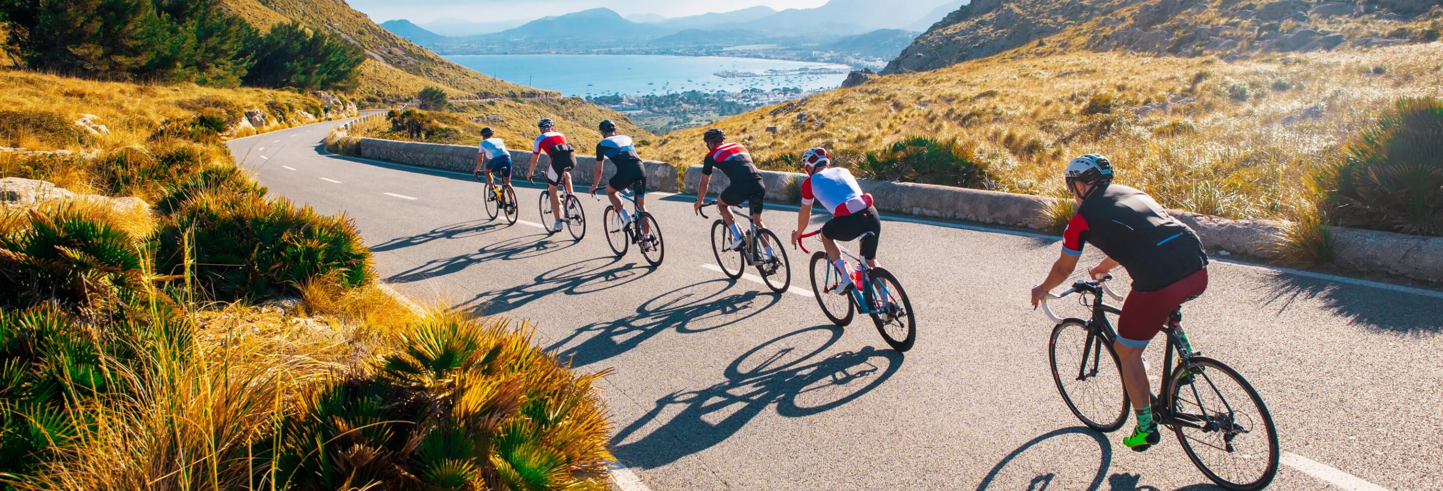 Team of bicyclists on road near ocean